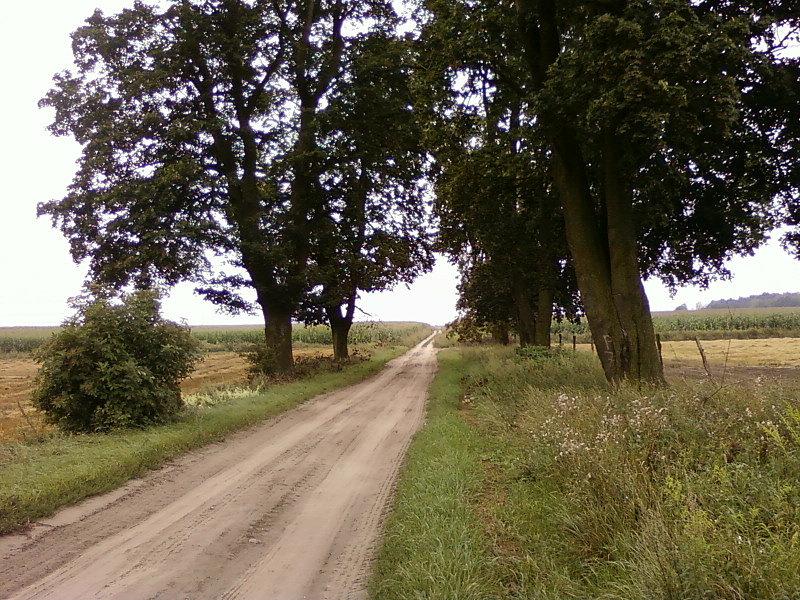 Lućmierz