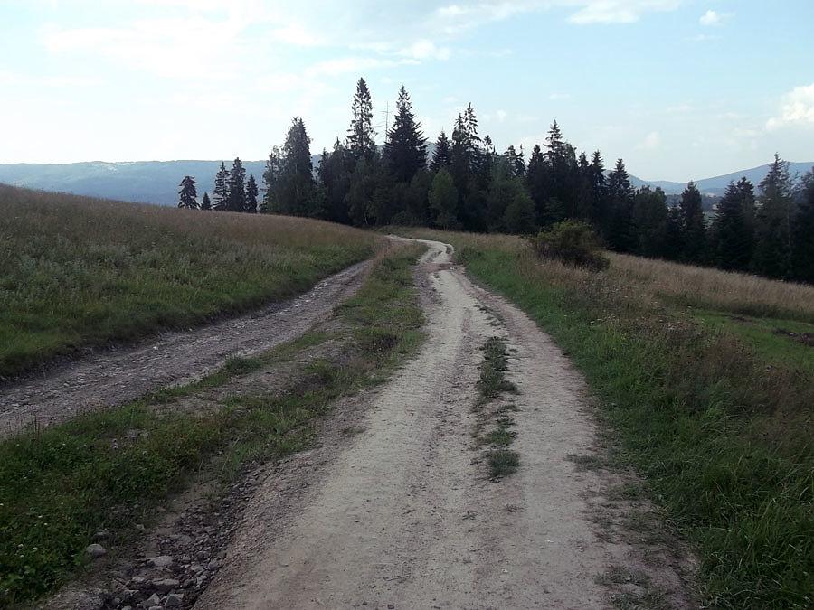 Na szlaku. Zjazd do Rabki