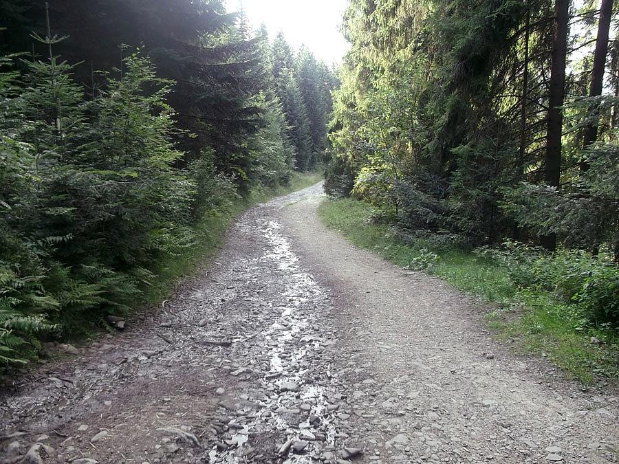 Na szlaku
