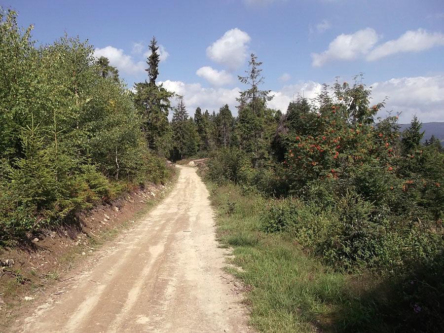 Na szlaku