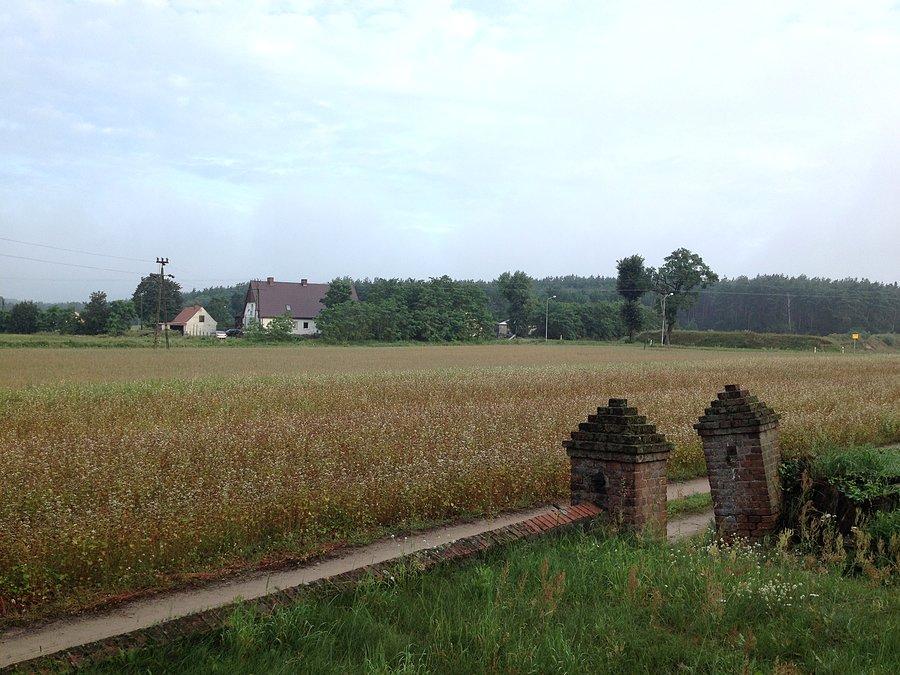 Widok na Nowe Dwory