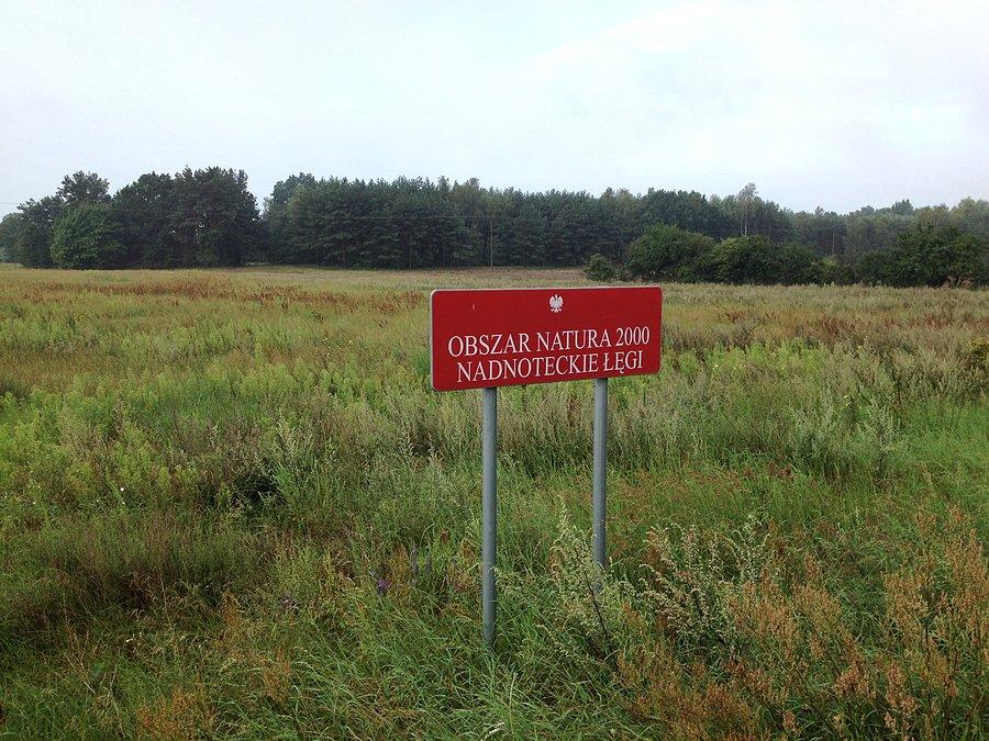 Nadnoteckie Łęgi
