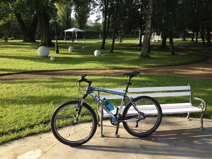 Pauza w Wieleniu