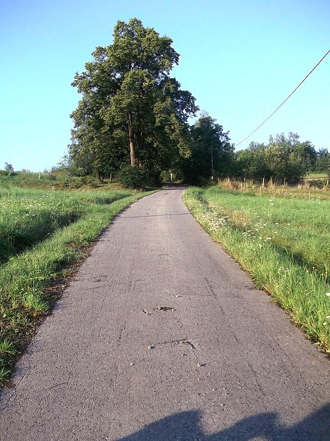 Ścianka w Laskowej