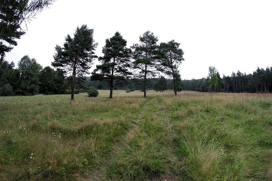 Droga na Orlik (618 m.n.p.m)