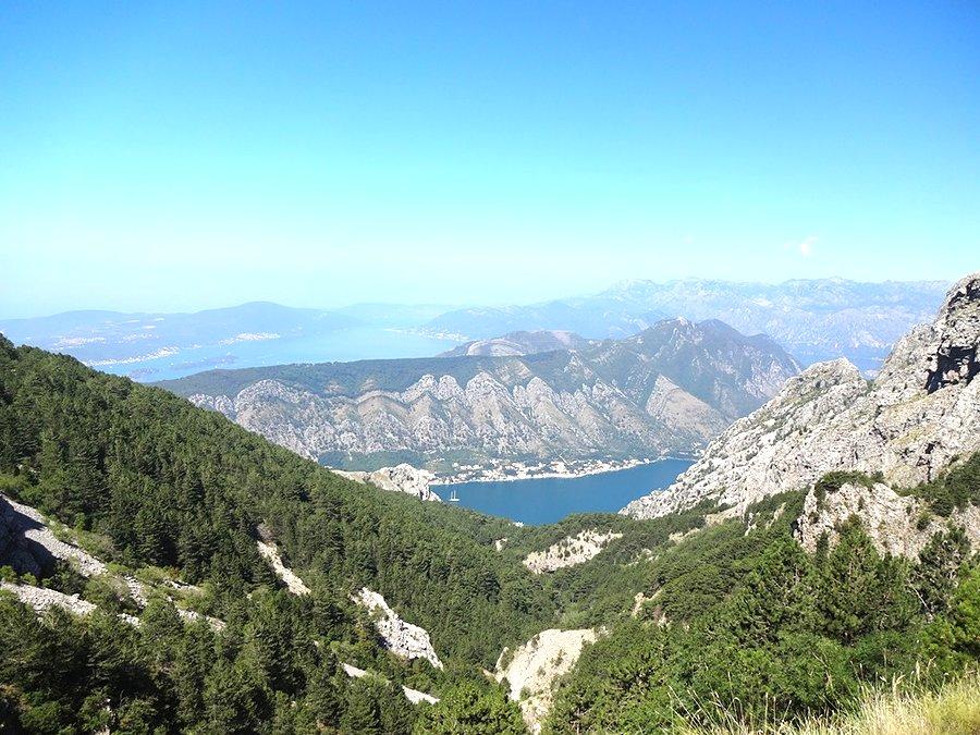 Zatoka kotorska