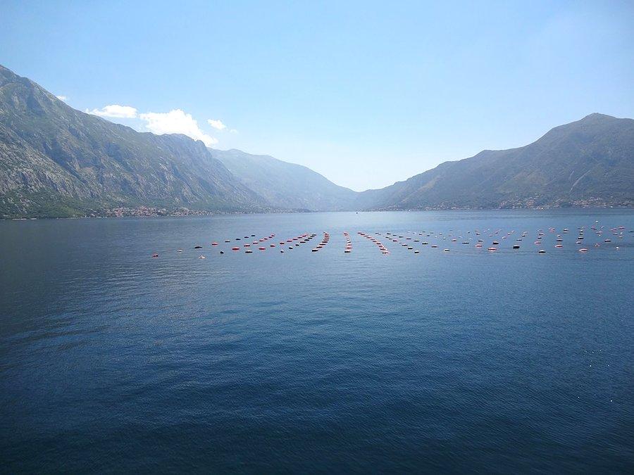 Zatoka kotorska