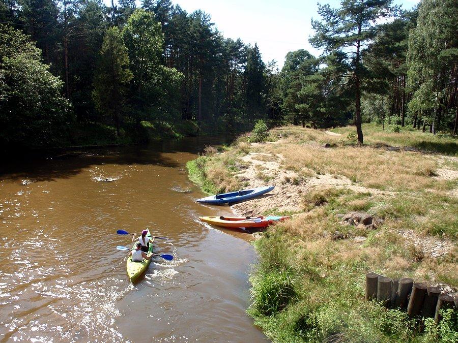 Kajaki na Małej Panwi