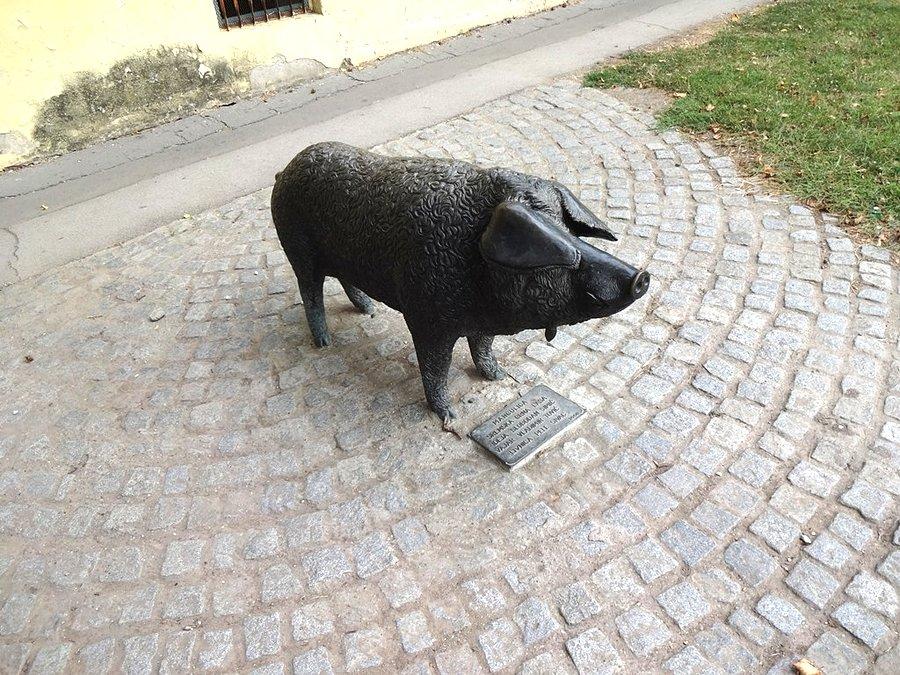 Pomnik świni