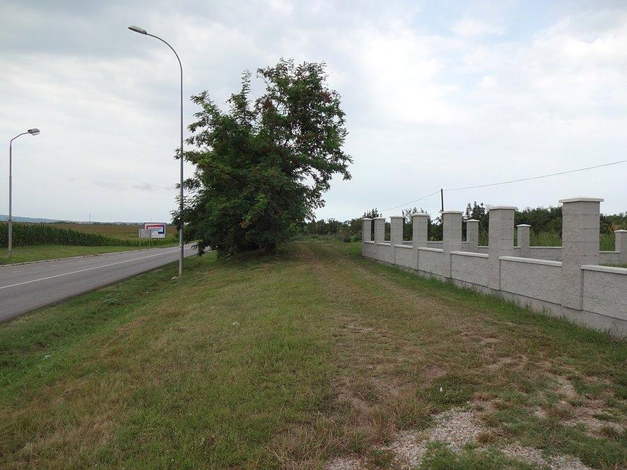 Pod tymi drzewami spałem 5 tygodni temu :)