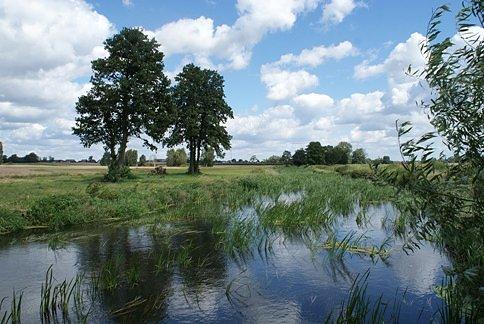 Nad Wolbórką