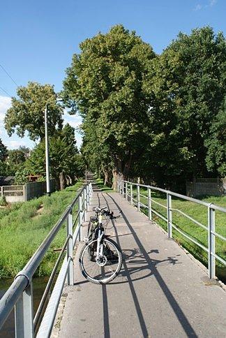 Na kładce nad Wolbórką