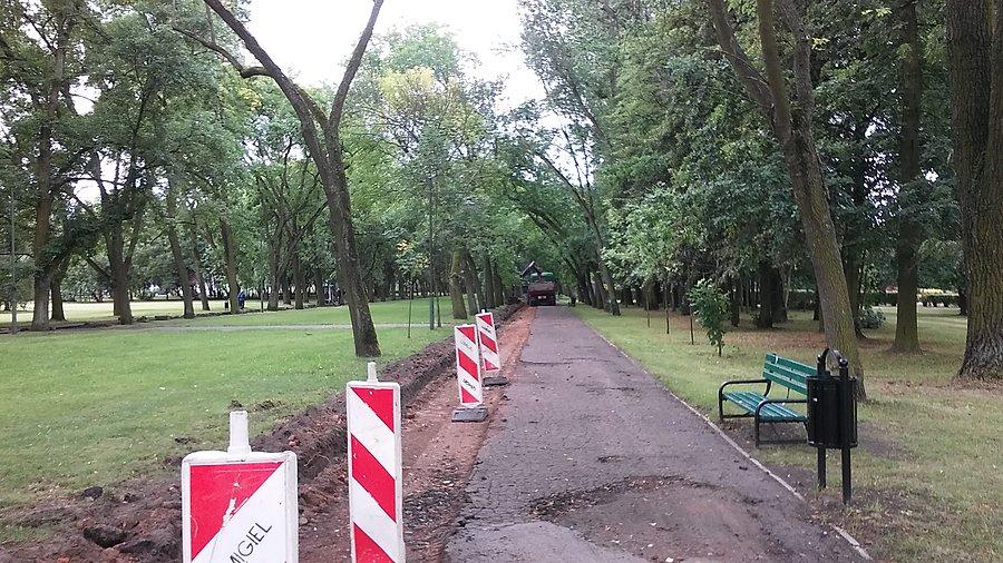 Park na Zdrowiu