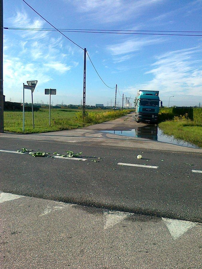 Kapusta spadła z przyczepy