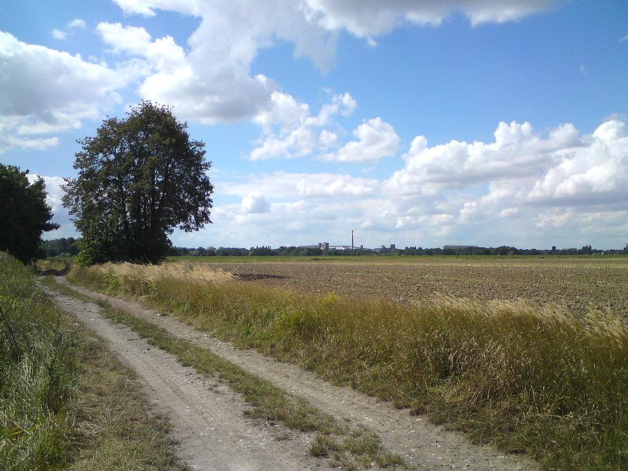 Na drogach polnych