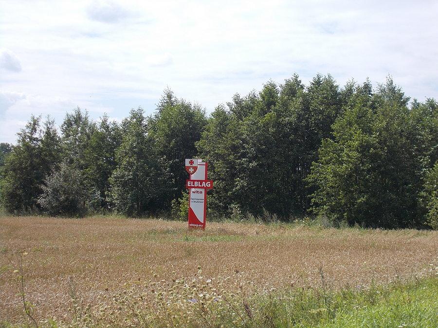 Zbliżenie witacza