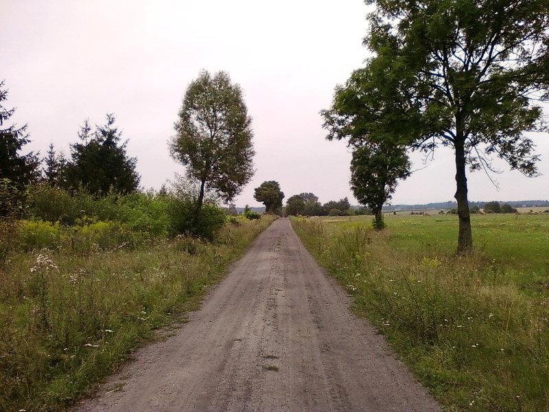 Polna droga do Malanowa