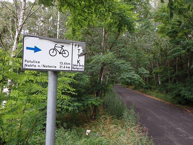 Na rowerowym szlaku Bydgoszcz-Nakło w okolicach Lisiego Ogona