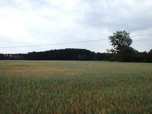 Takie niebo nie wróżyło ładnej pogody