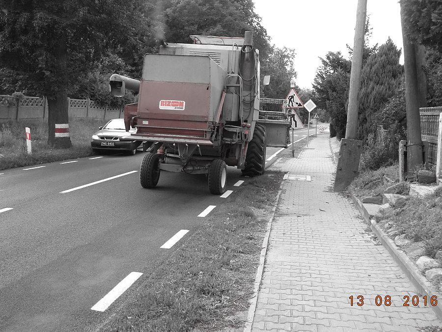 Bizon rozpycha się po drodze krajowej