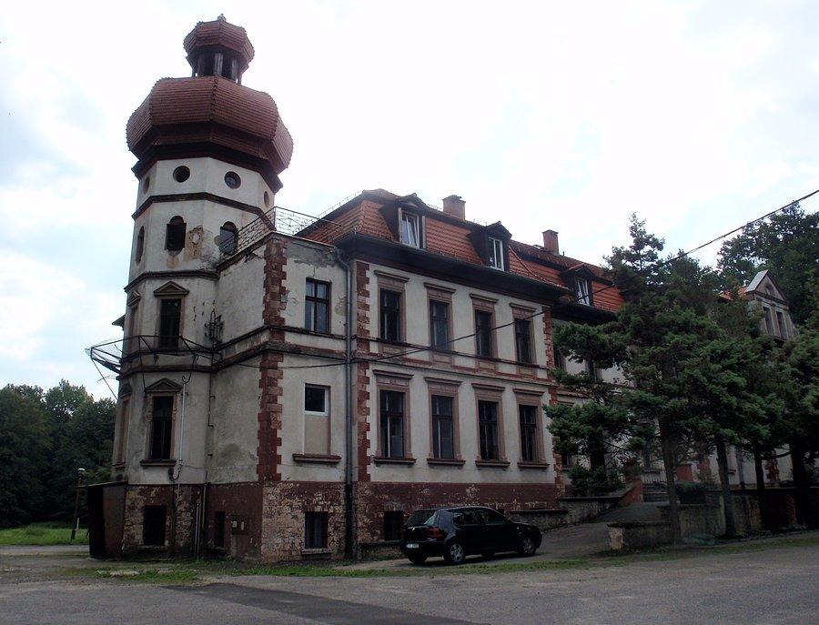 Zaniedbany pałac w Miedarach