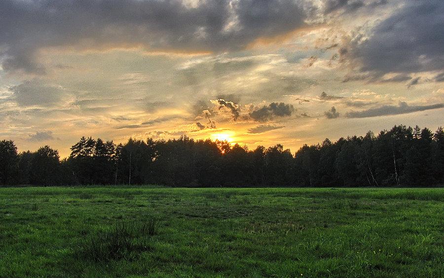 Słońce nisko a ja w polu