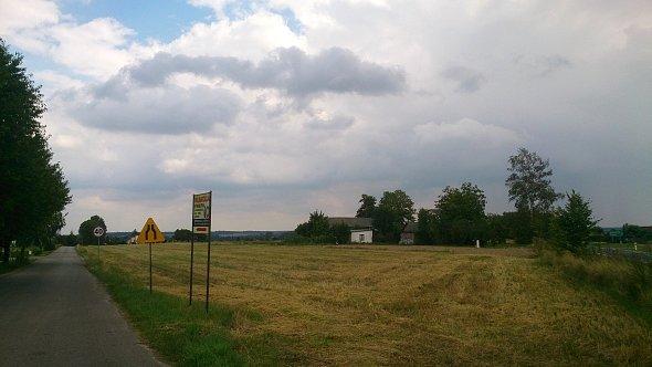 Pola w Tomaszówce