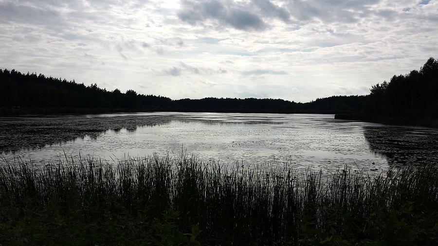 Jeziora nieopodal Jaworznika