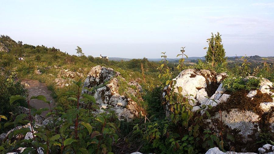 Widok na zamek Bobolice ze skałek obok zamku Mirów
