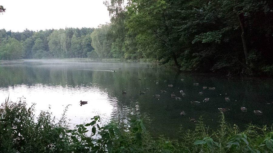 Staw w Rudnikach i wieczorna mgła :)