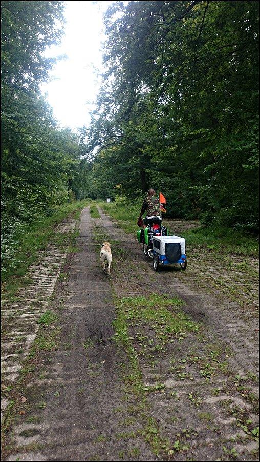Między Niechorzem a Pogorzelicą obok terenów wojskowych