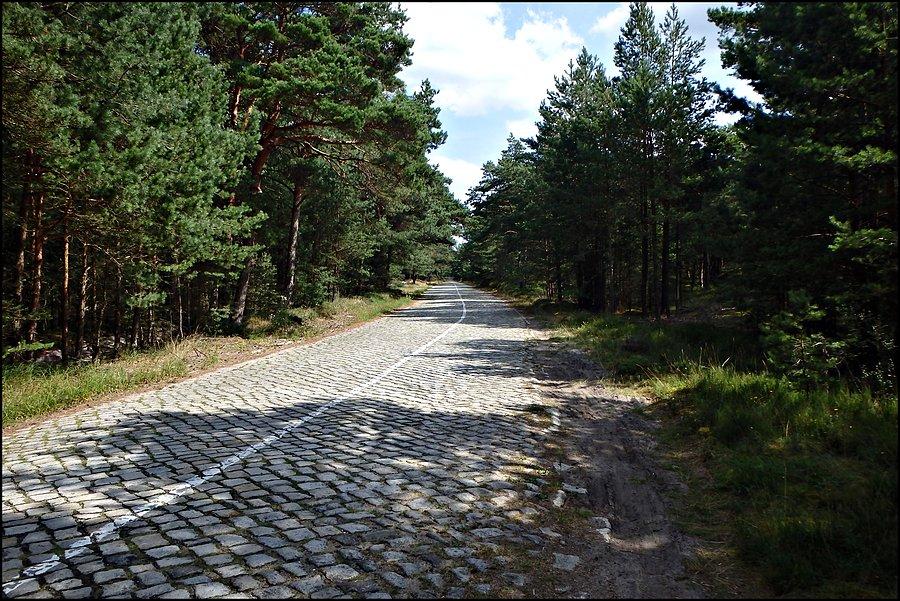 Szlak rowerowy Pogorzelica - Mrzeżyno