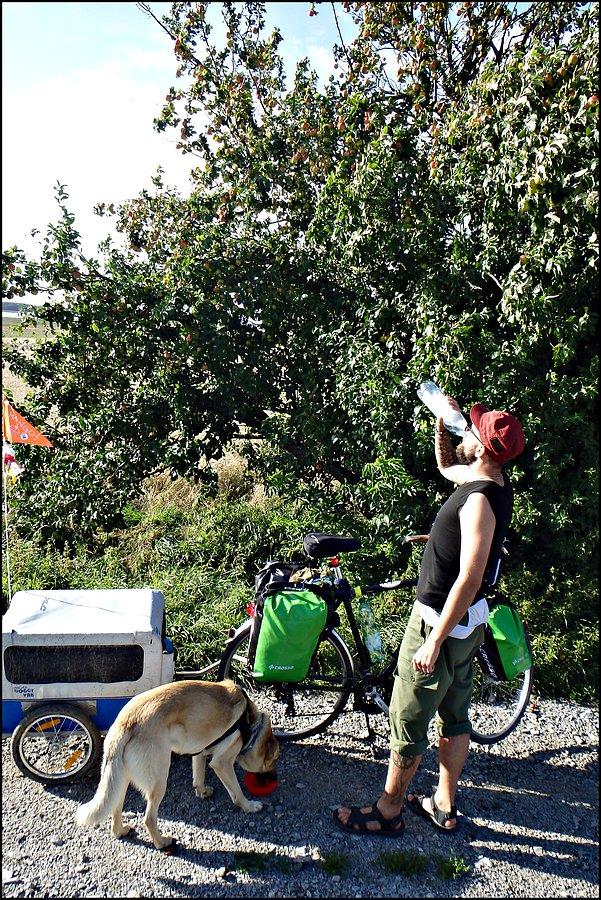 Przerwa na jabłka na nawadnianie się