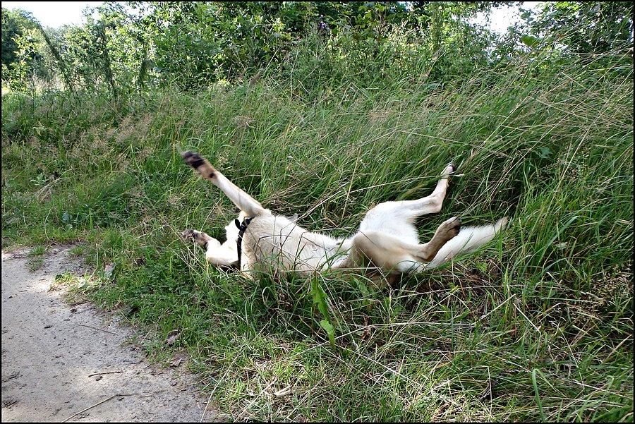 Szlak R10 z Ustki do Rowów