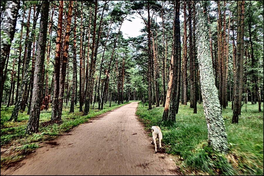 Słowiński Park Narodowy