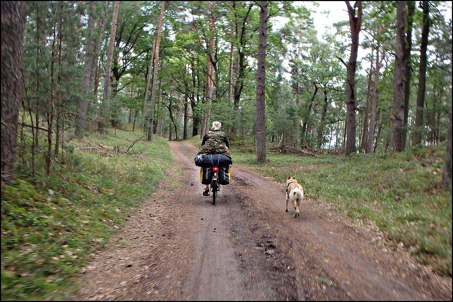 Po wydmie