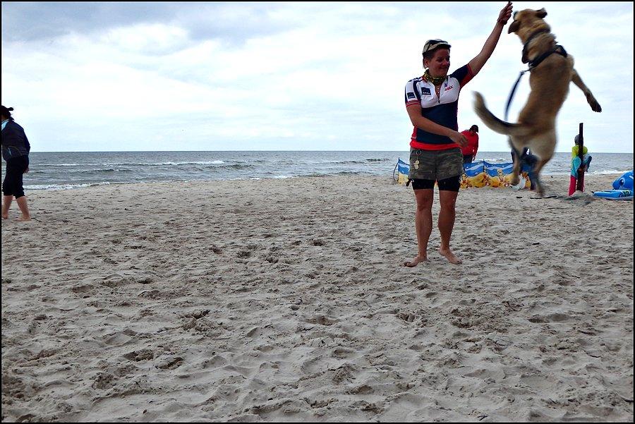 Mango skacze na plaży