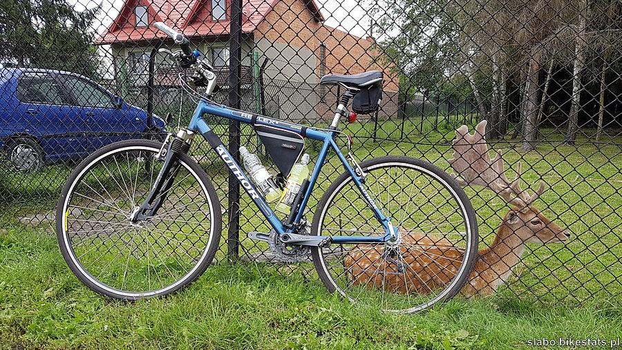 Ktoś tu jest bardzo oswojony