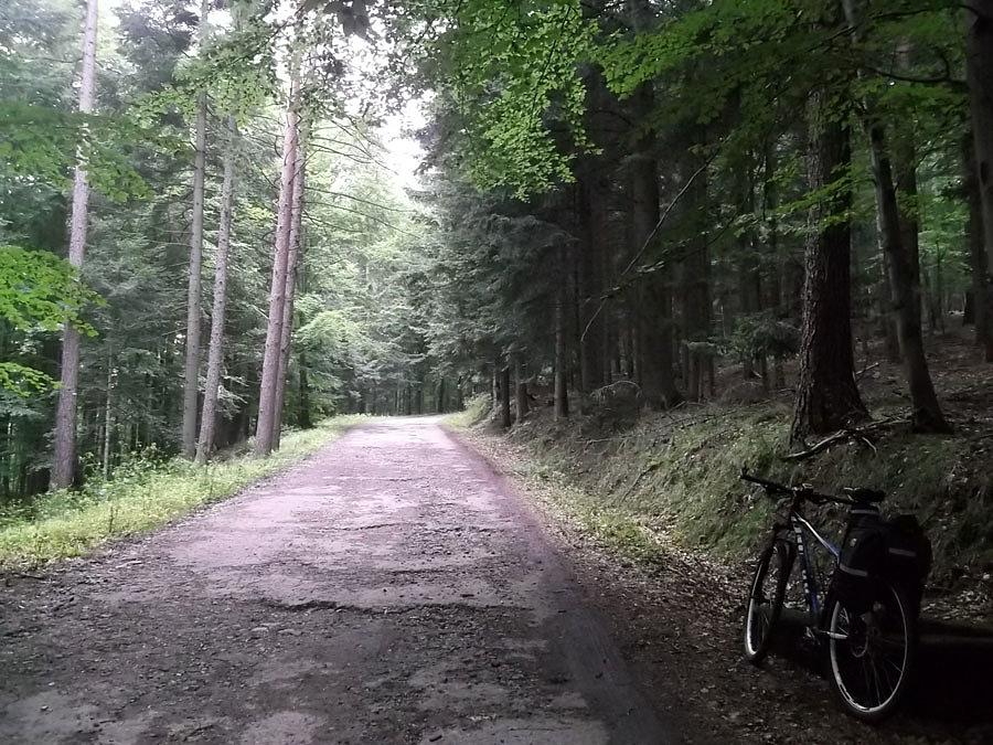 Podjazd na Chrobaczą. Nawierzchnia jakby gorsza