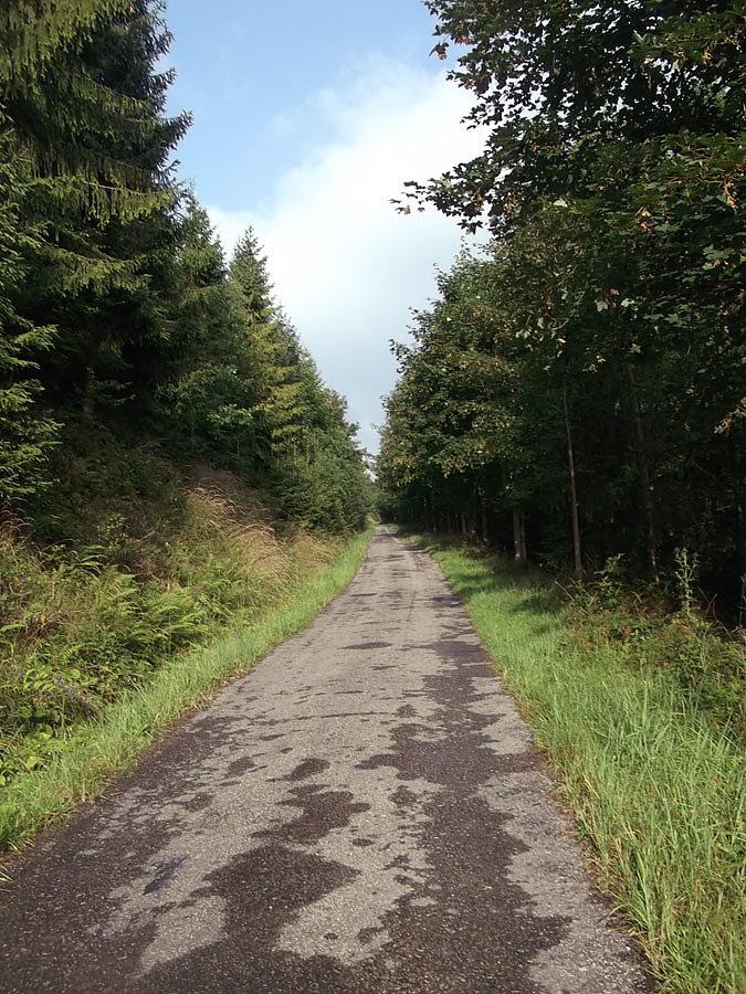 Podjazd na Skrzyczne. Jeszcze asfalt
