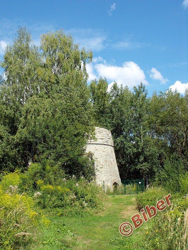 Jeden w odnowionych wapienników