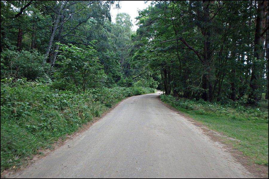 Szlak