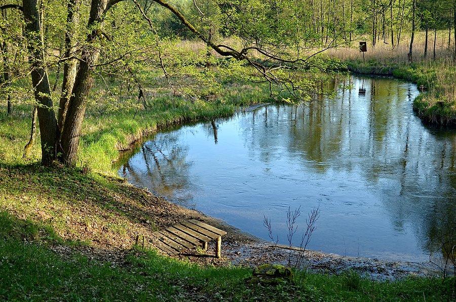 Meandry Czarnej Hańczy