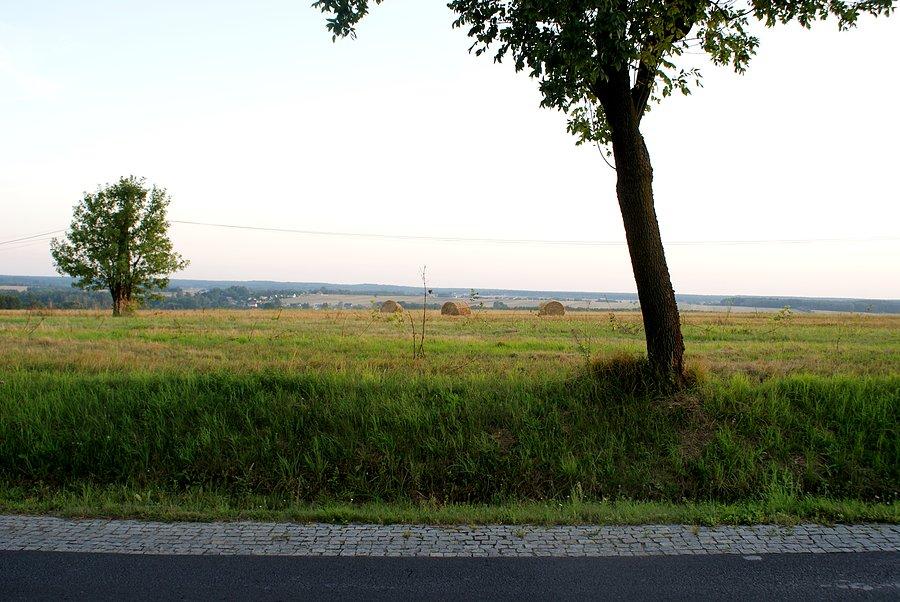 Widok z drogi w kierunku na kwaterę w Truskolasach