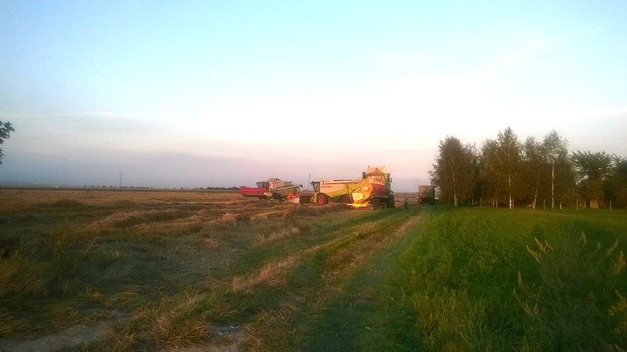 3 kombajny claas na jednym polu