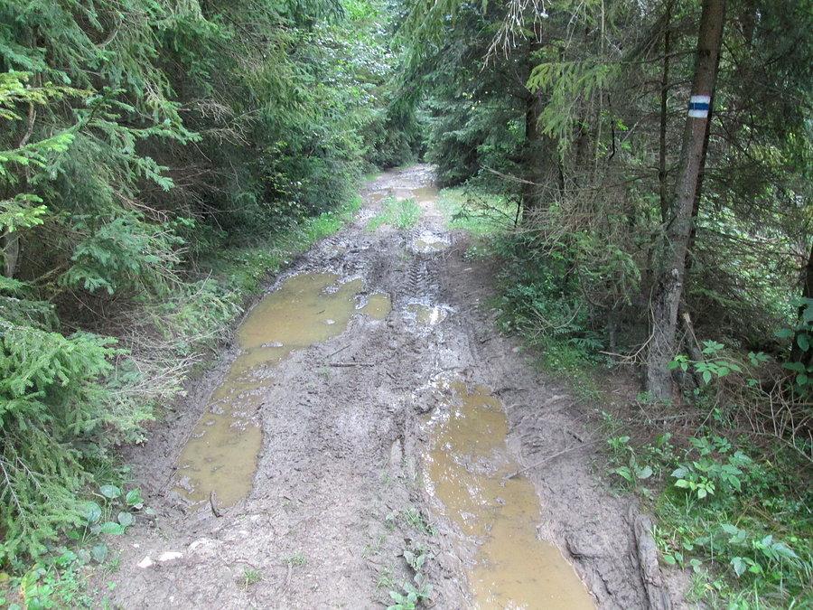Tak to jest jak się jeżdzi drogami rowerowymi