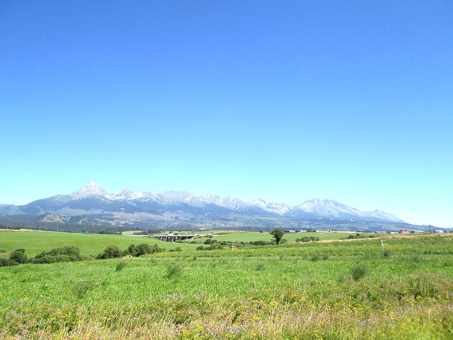 Widoczek