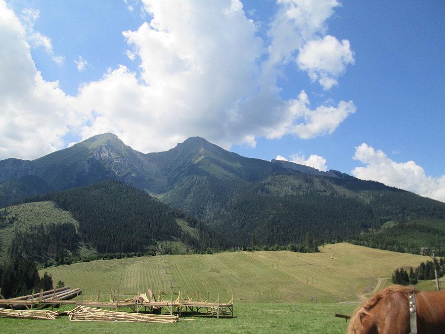 Widoki