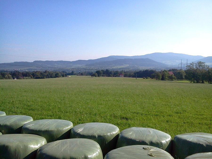 Widok w stronę Czantorii