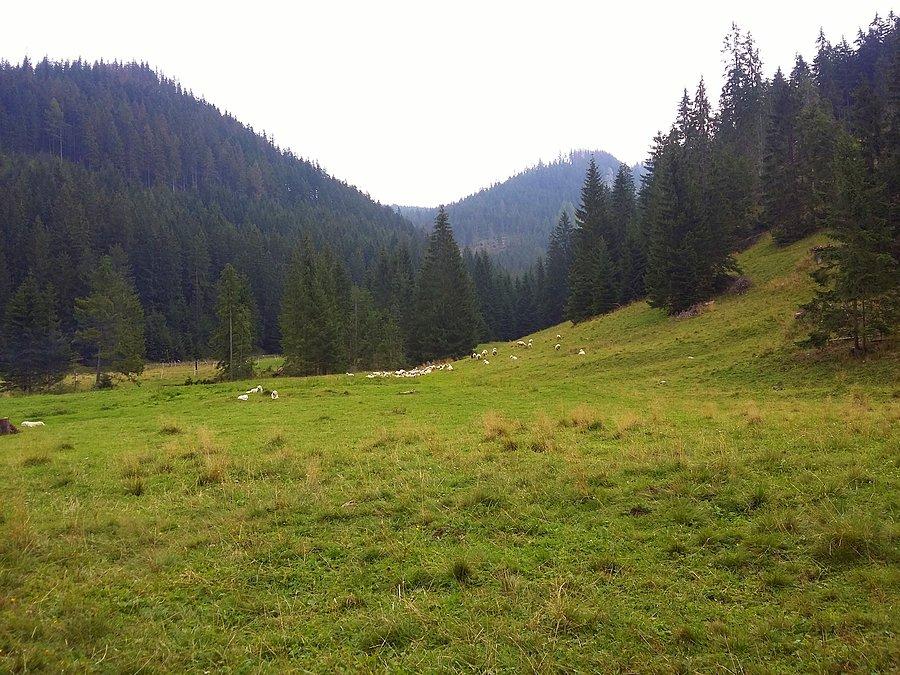 Podhalański obrazek
